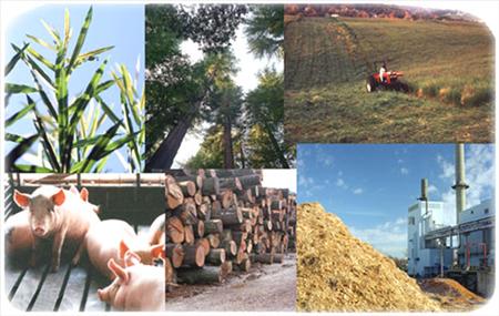 Biomassenergy Biomassenergy